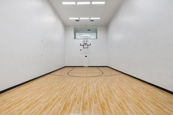 Barketball court